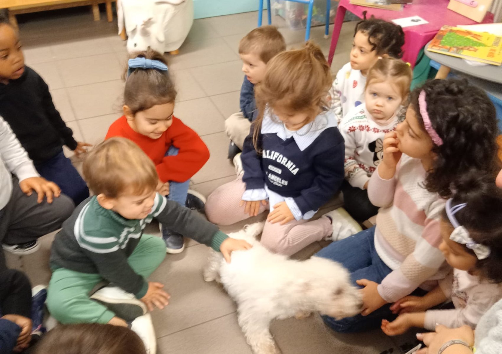 whatsapp image 2026-01-16 at 22.47.23 1